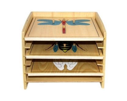 Este material consiste en un gabinete de madera que incluye 5 puzzles de insectos,vista frontal,foto redes sociales,mmm503