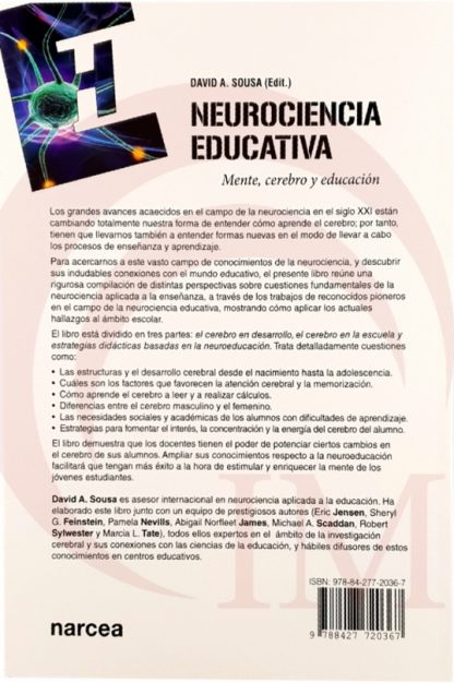 neurociencia_educativa_material_montessori